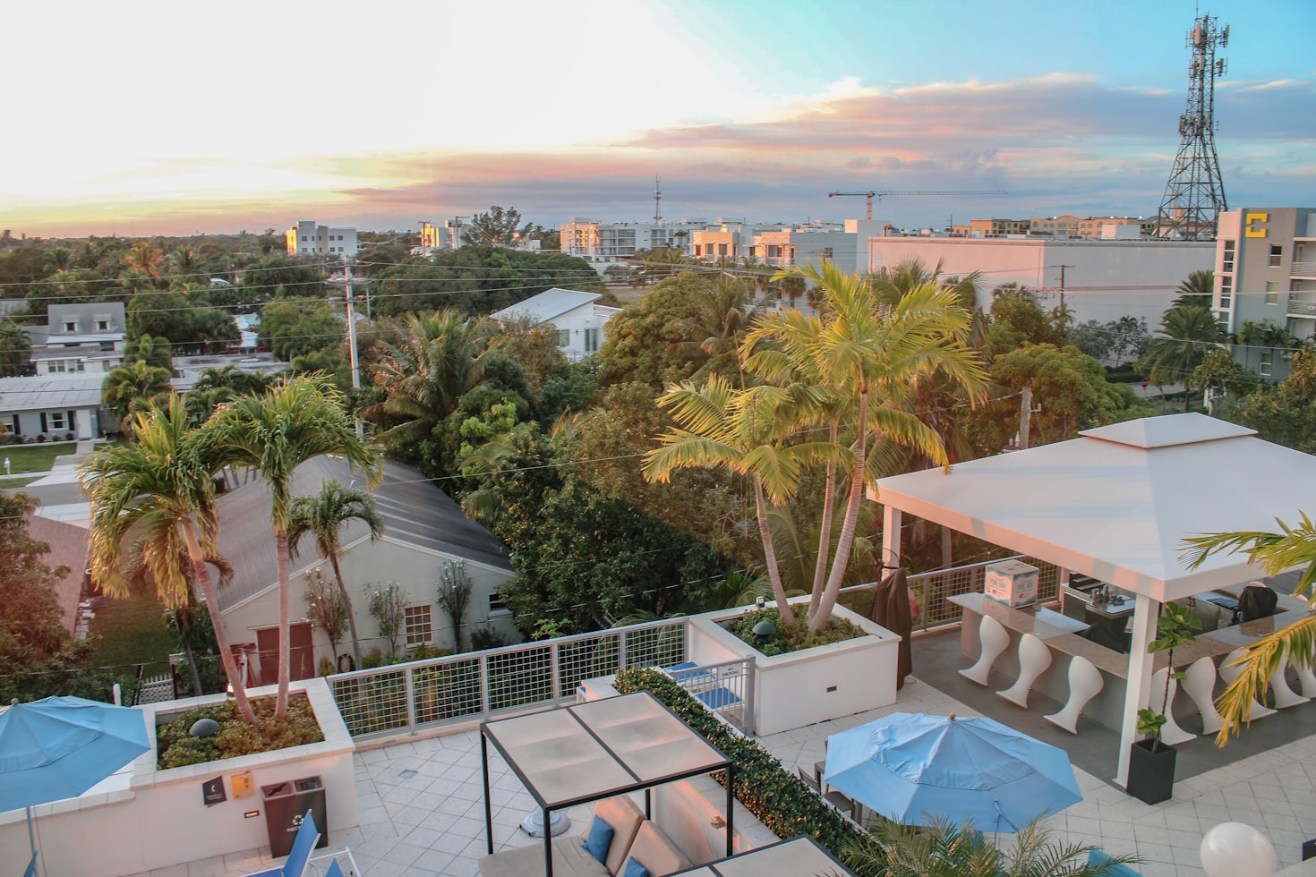 Balcony / Terrace Garden